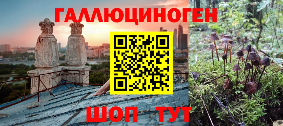 Псилоцибиновые грибы GOLDEN TEACHER Димитровград