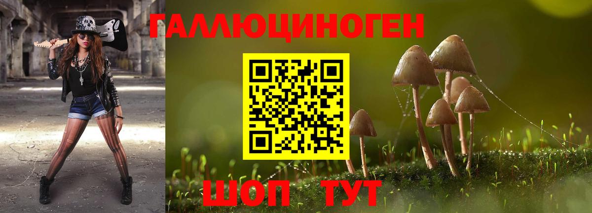 Димитровград  Псилоцибиновые грибы Psilocybine cubensis  Галлюциногенные грибы MAGIC MUSHROOMS  Вход с VPN 